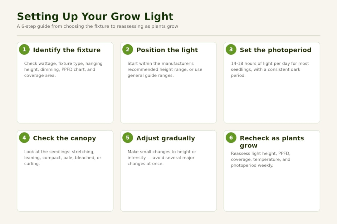 6 Steps to set up grow lights for seedings