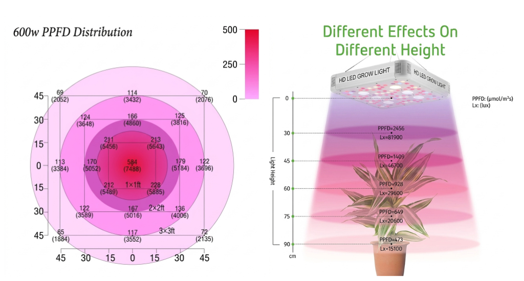 Effects of different grow light heights on plant growth