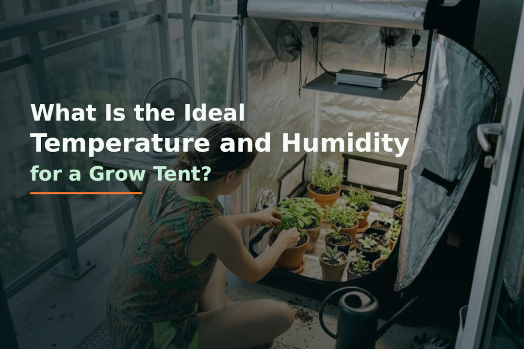 What Is the Ideal Temperature and Humidity for a Grow Tent?