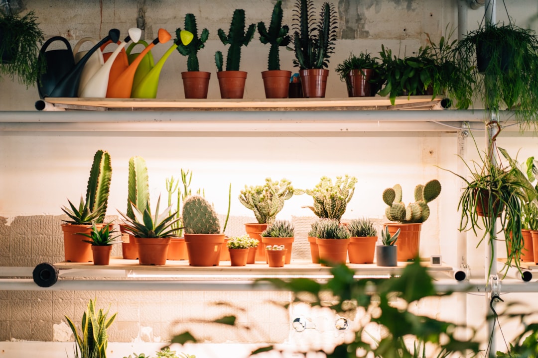 Indoor grow light for winter plant care