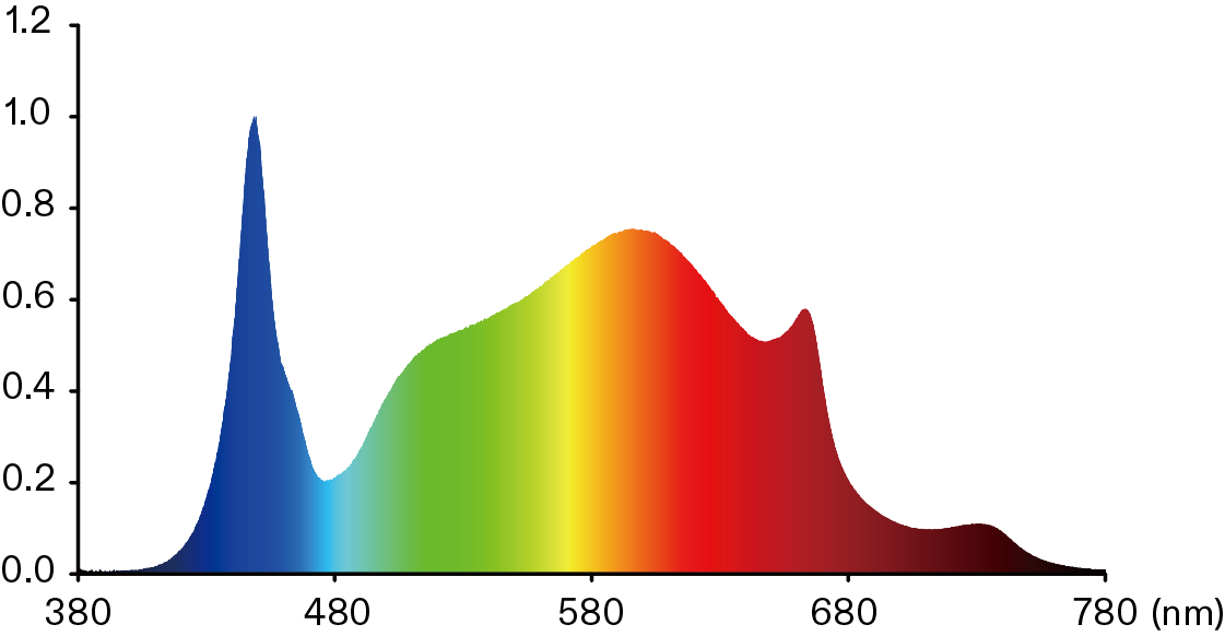 0853f5b976dc2975cc9e16a59e53fa24