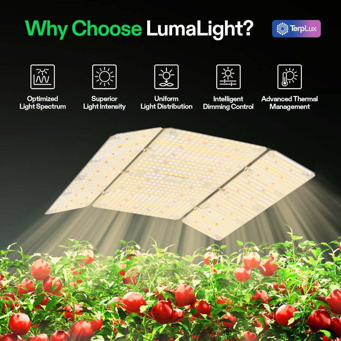 LumaLight 400W LED Grow Light, Full Spectrum Plant Light, Smart