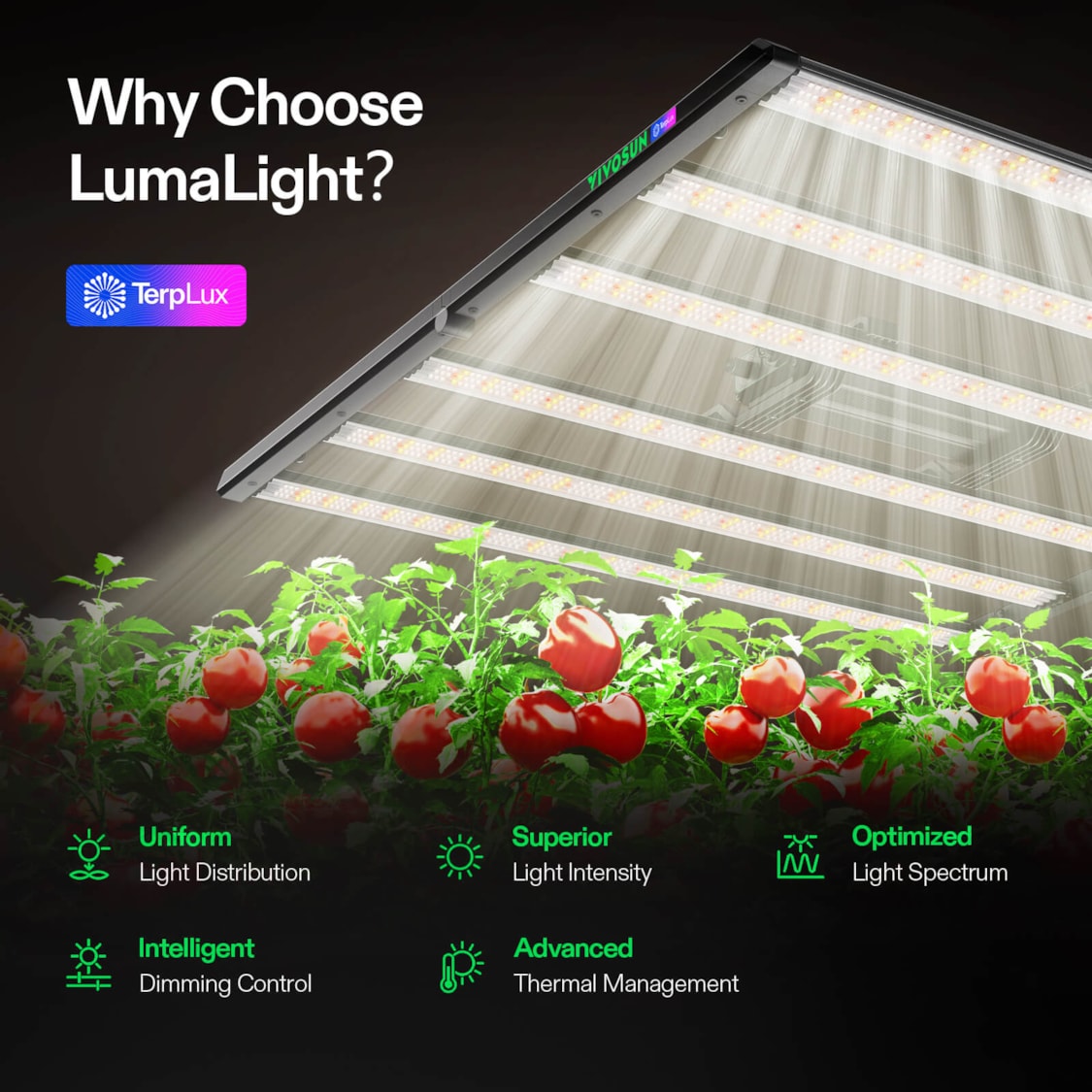 LumaLight 500W LED Grow Light, Full Spectrum Indoor Plant Light