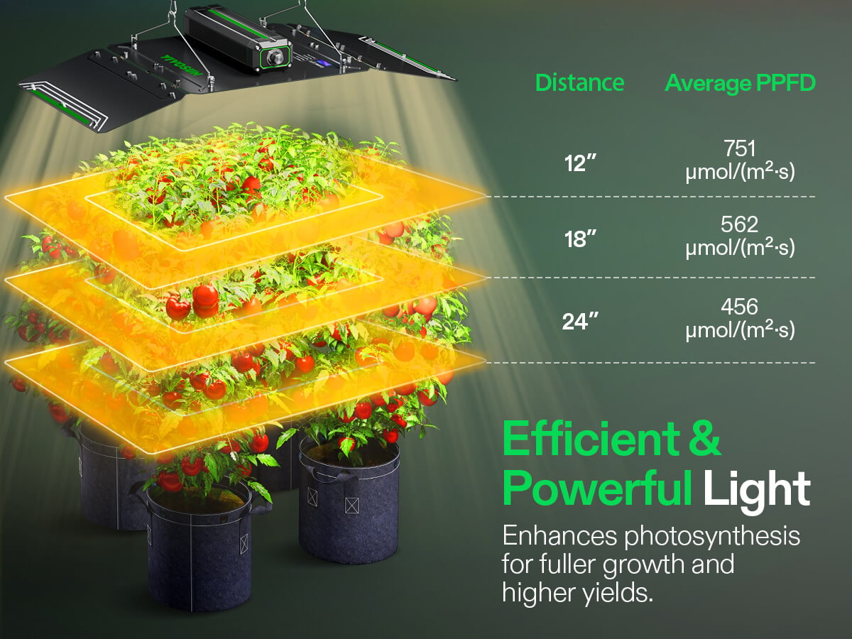 LumaLight 200W LED Grow Light, Full Spectrum Plant Light, Smart