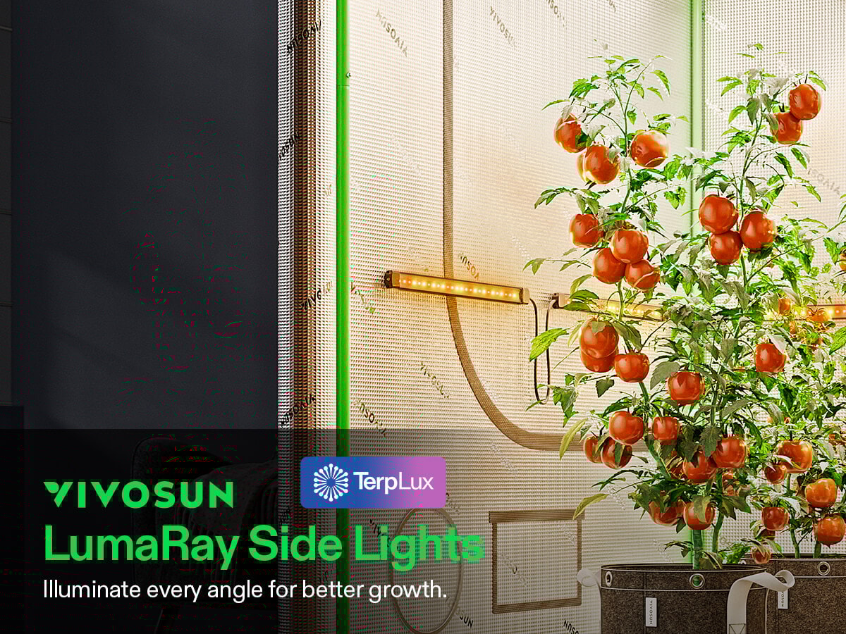 LumaRay Side Lights (8-Bar), Full Spectrum LED Bar Lights, SGS