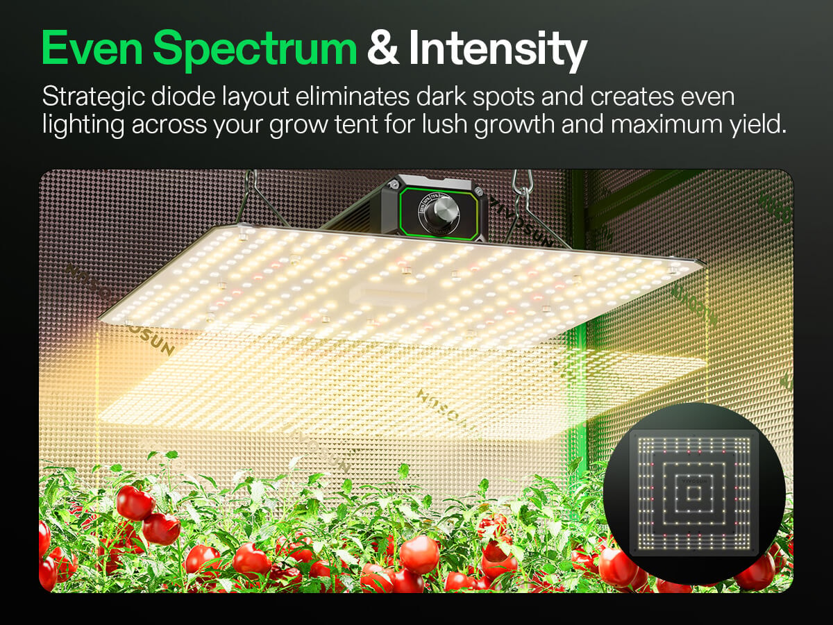 LumaLight LED Grow Light, Full Spectrum Plant Light, 100W Smart