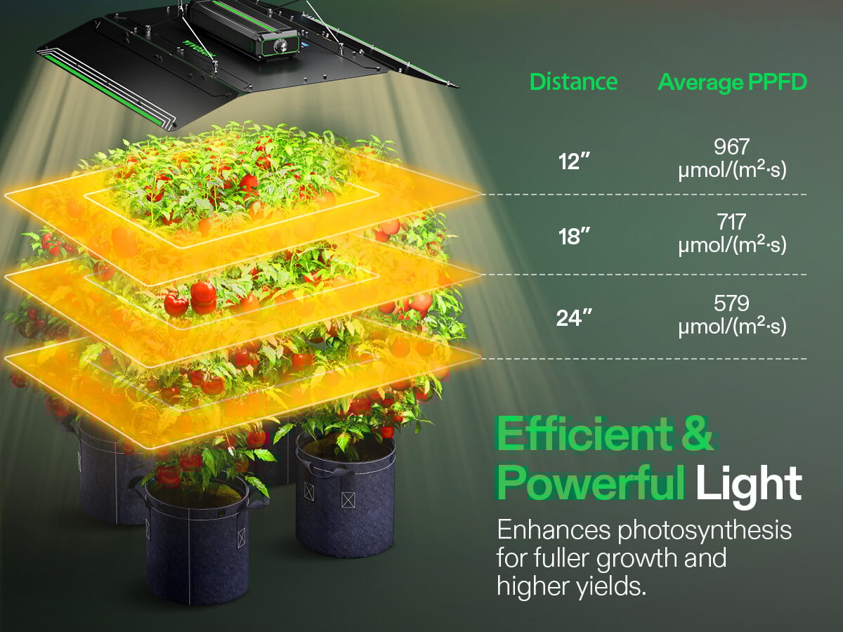 LumaLight LED Grow Light, Full Spectrum Plant Light, 400W Smart