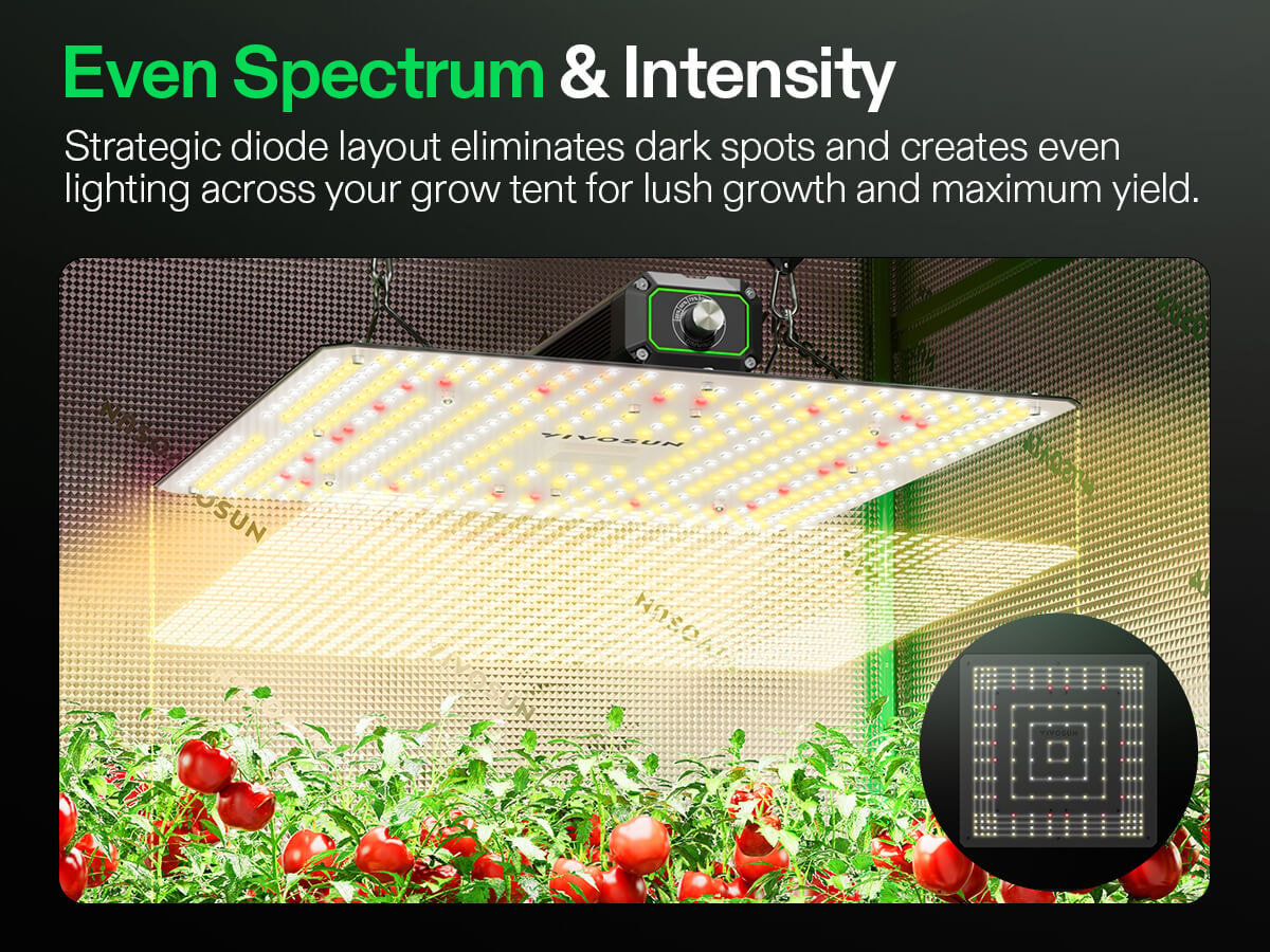 Ejoyous LED PLANT LAMPLE SPECTRUM FULL SORN LUMIÈRES 5 LIGNOLTS