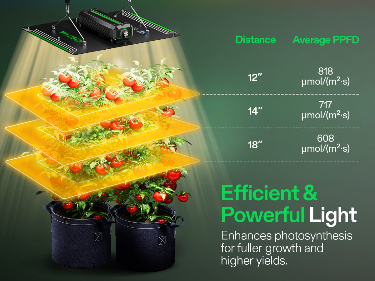 modern indoor pots for plants 36