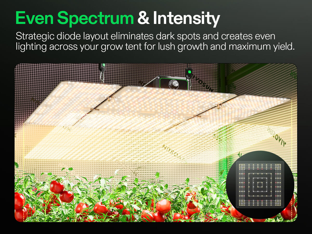 LumaLight LED Grow Light, Full Spectrum Plant Light, 400W Smart