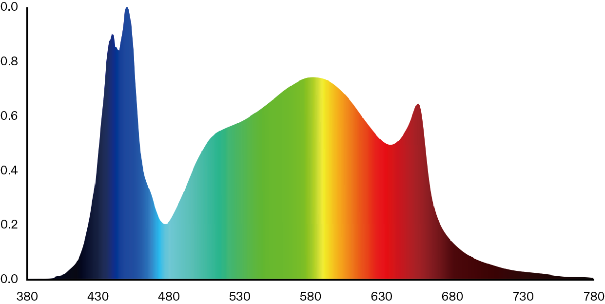 122a2c8bdc5f2a7d1a3f4813d6c7d658