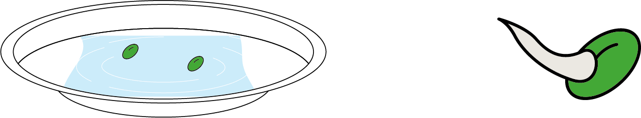 2c55bc40d05c3b45fbb5bb69629d4114