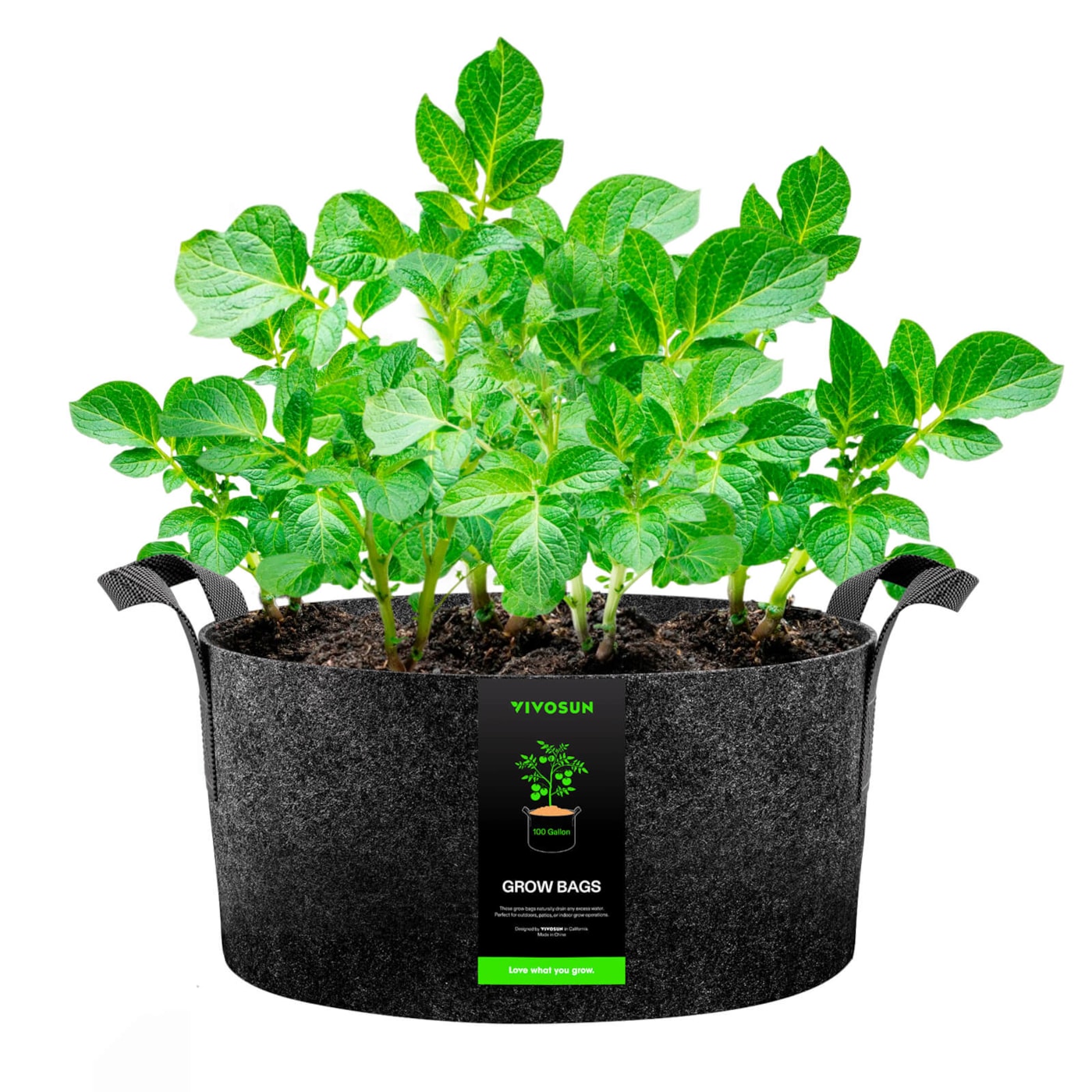 100 Gallon Grow Bags 1-Pack Black Thickened Nonwoven Fabric Pots with Handles