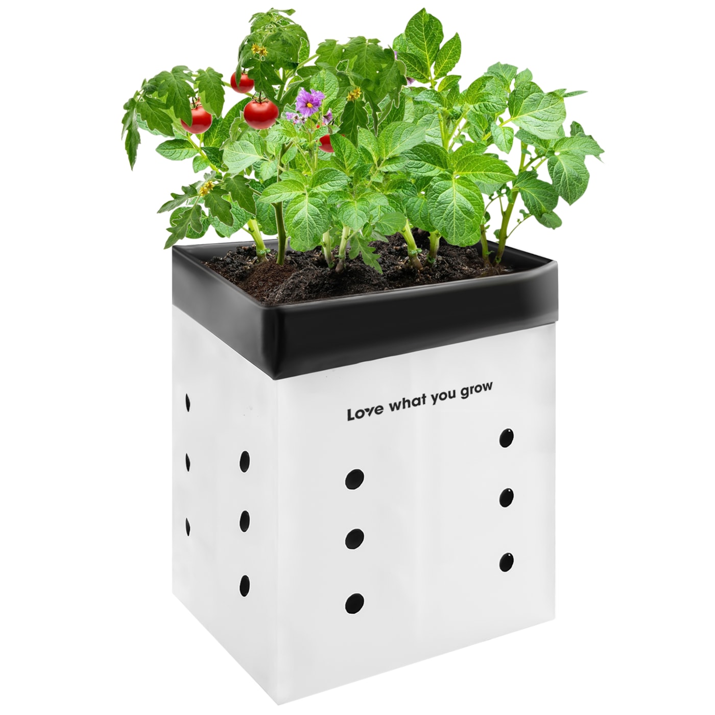 LoveWhatYouGrow 50-Pack 1 Gallon Grow Bags for Plants, Black-and-White Thick Plastic Bags for Potting Seedlings, and Rooting