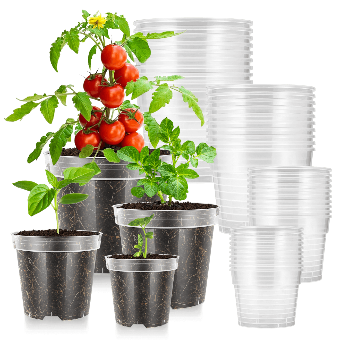 40 Packs 3/4/5/6 Inch Clear Nursery Pots with Drainage Holes
