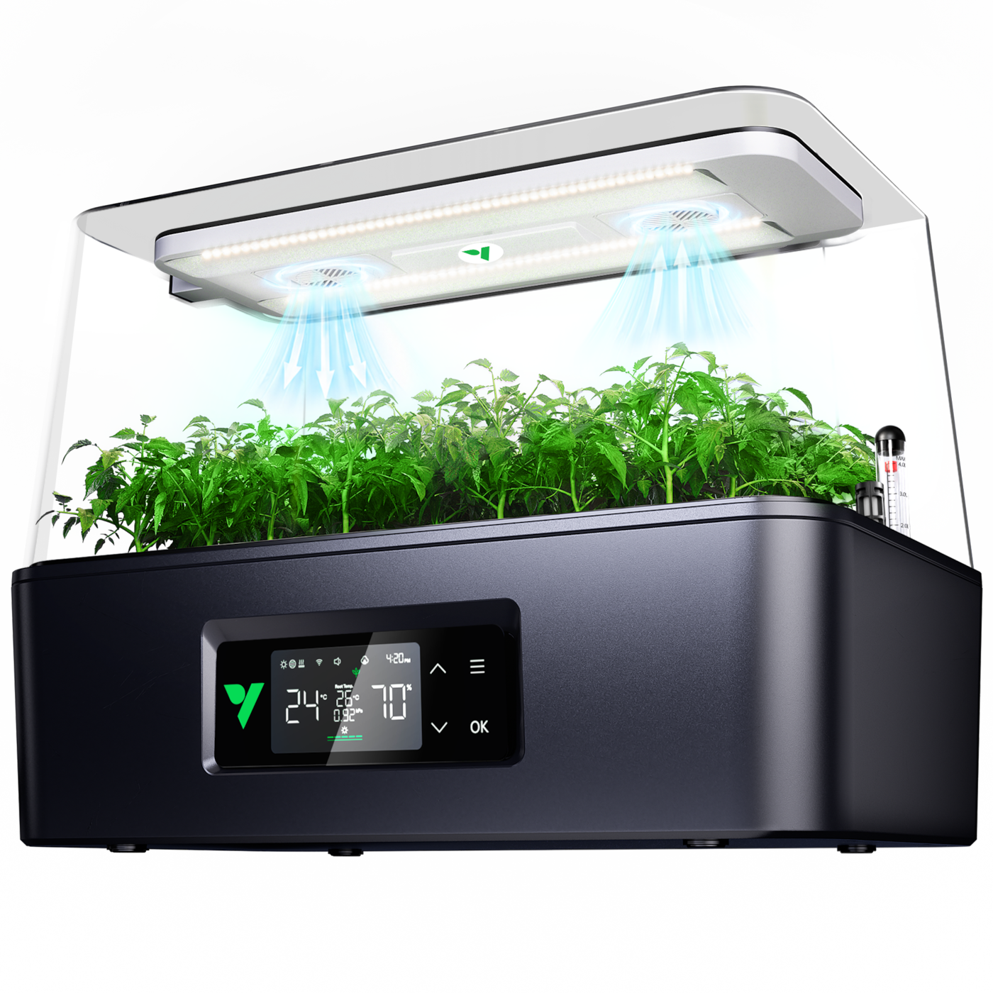 VSeed Smart Anzuchtbox, Indoor Anzucht- & Klon-System mit Ebbe-und-Flut-Bewässerung