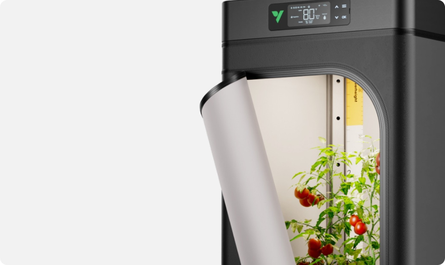 VGrow
