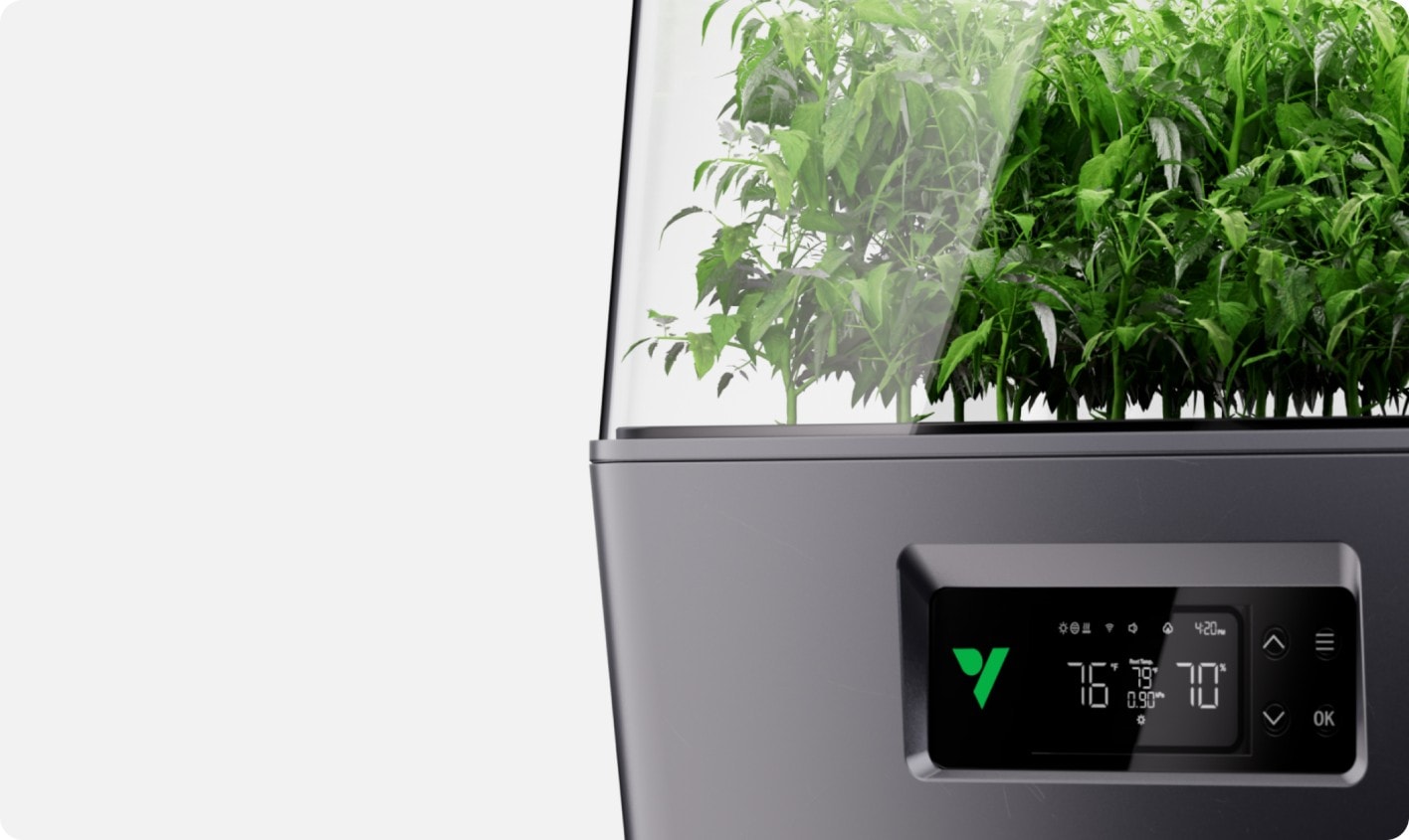VSeed