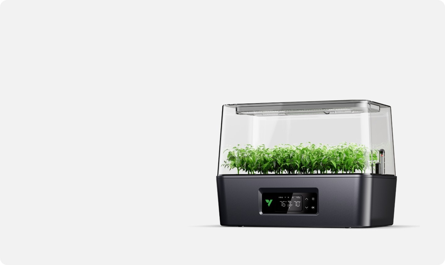 VSeed
