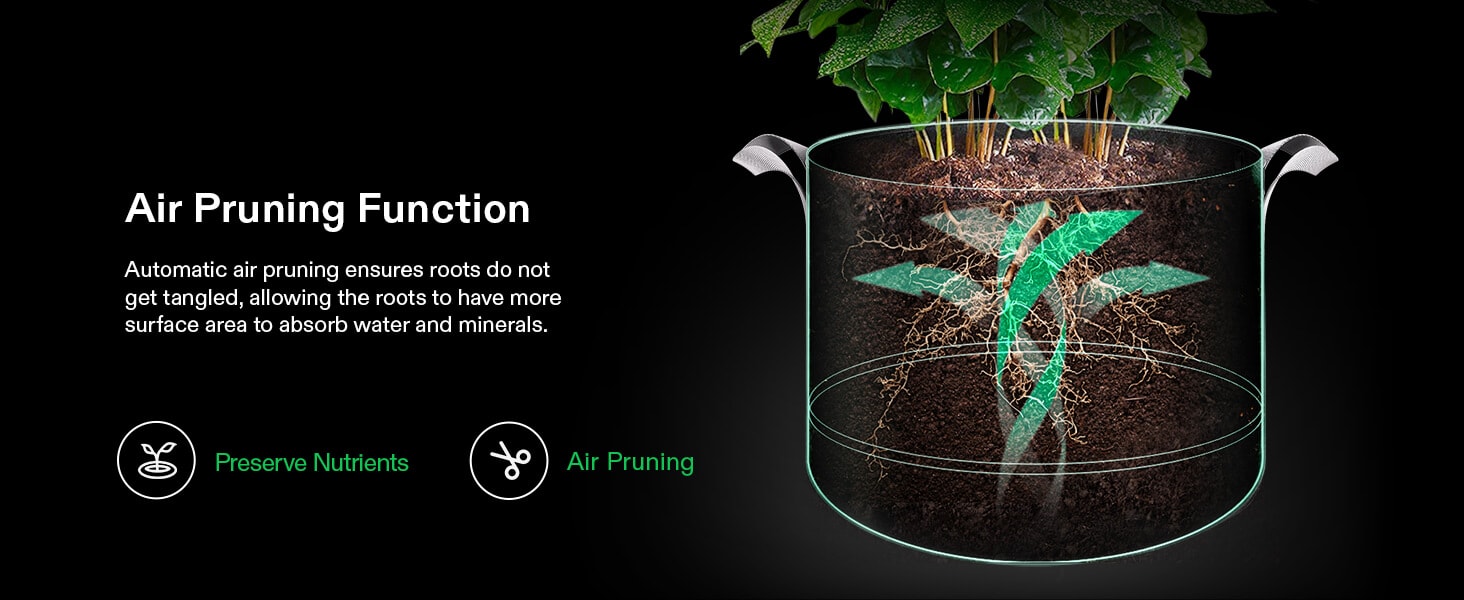 10 Gallon Multi-Mouth Planting Bags – For Innovative Abundant Harvest