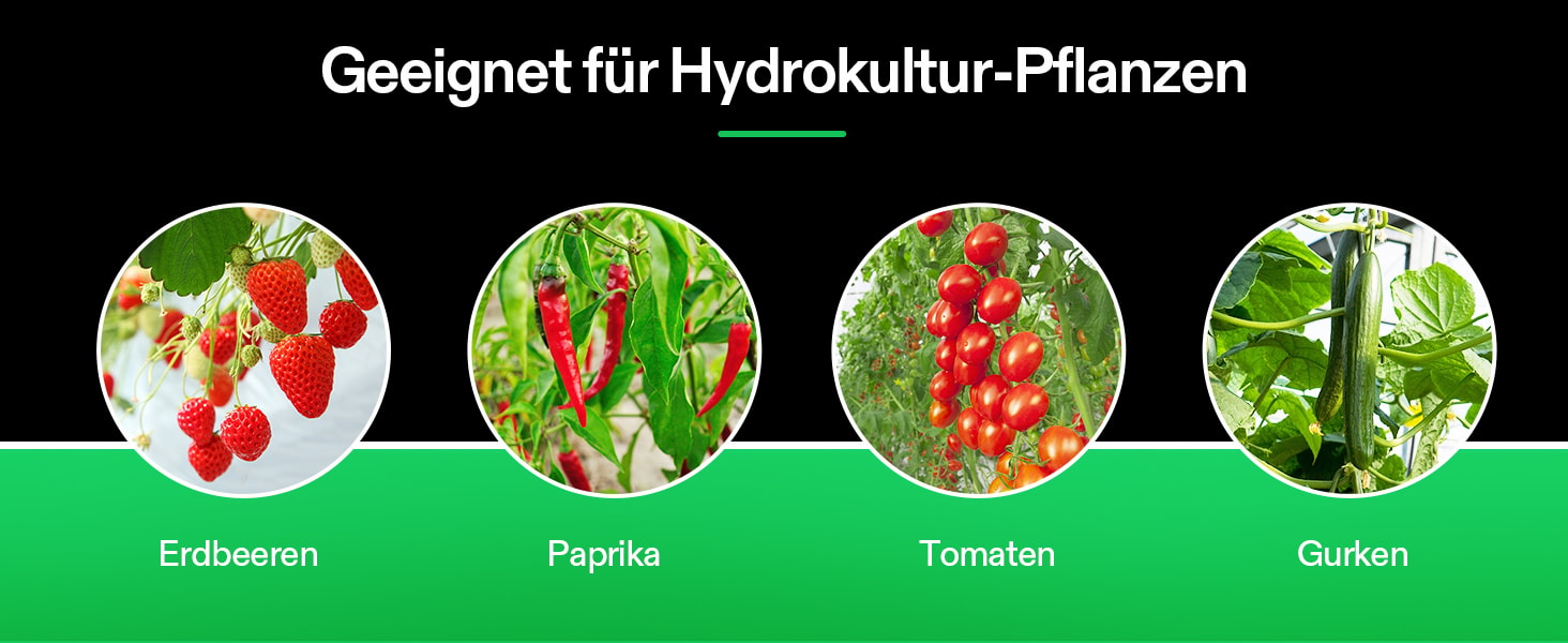 VIVOSUN Ein Pflanzplatz für die Hydrokultur