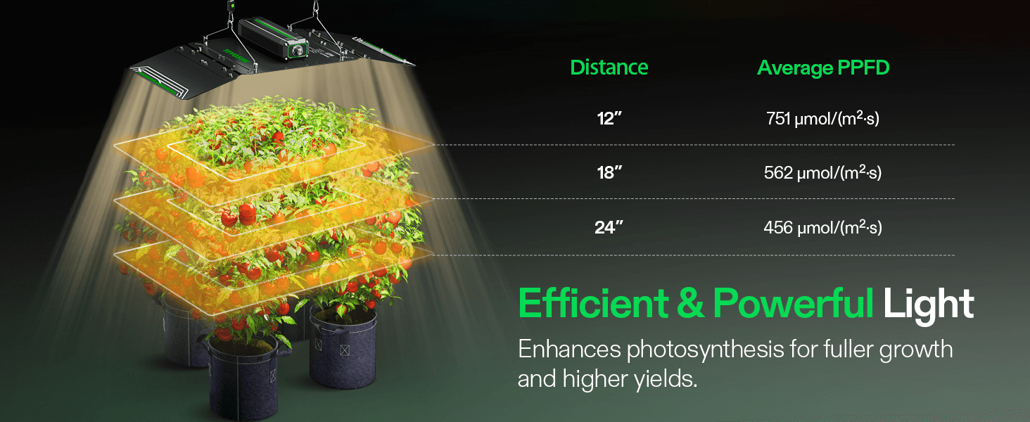 Distance for Light PPFD, LumaLight Full Spectrum Grow Light rnhances photosynthesis for fuller growth and higher yields