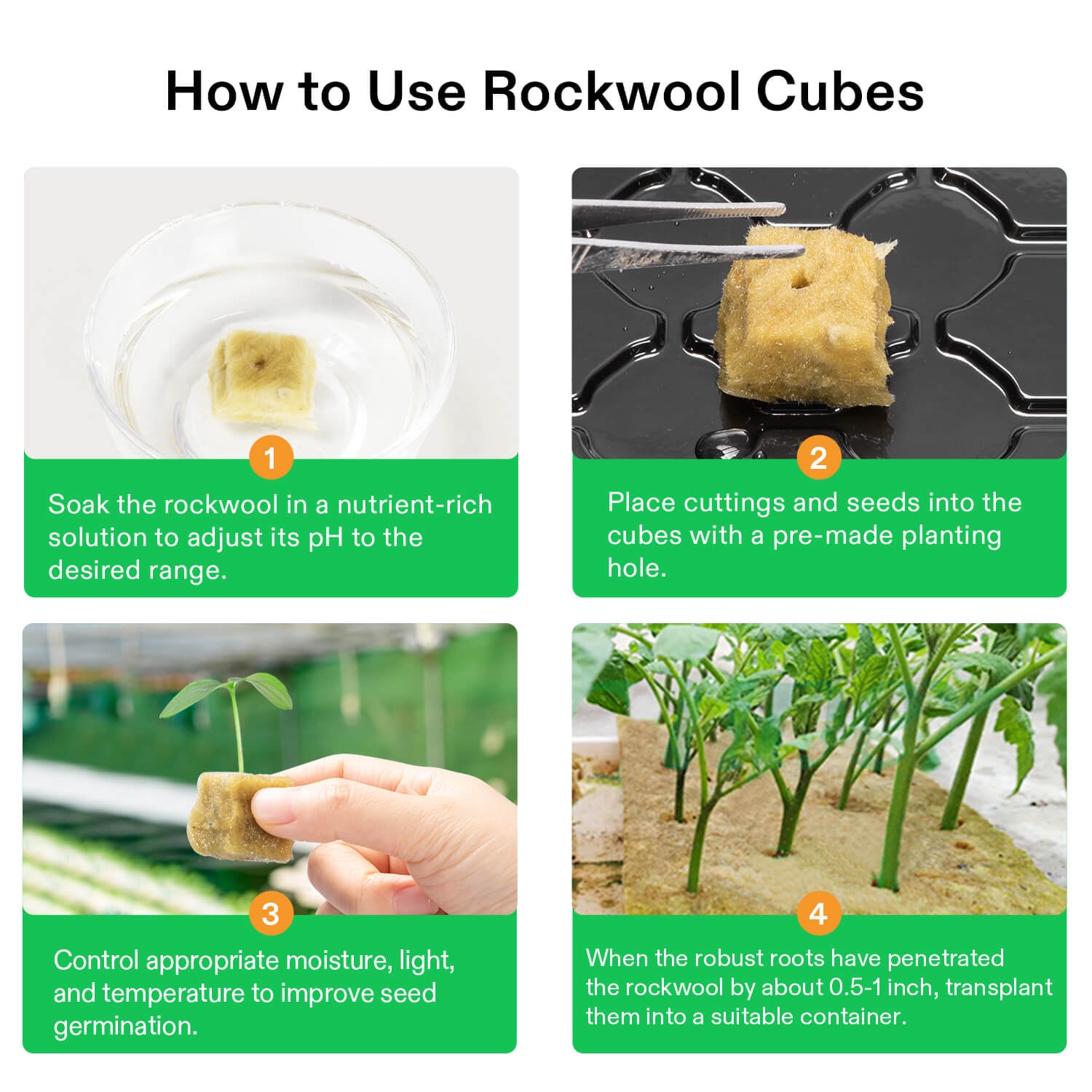 How To Start Seeds In Rockwool Cubes For Hydroponics - Bright Lane