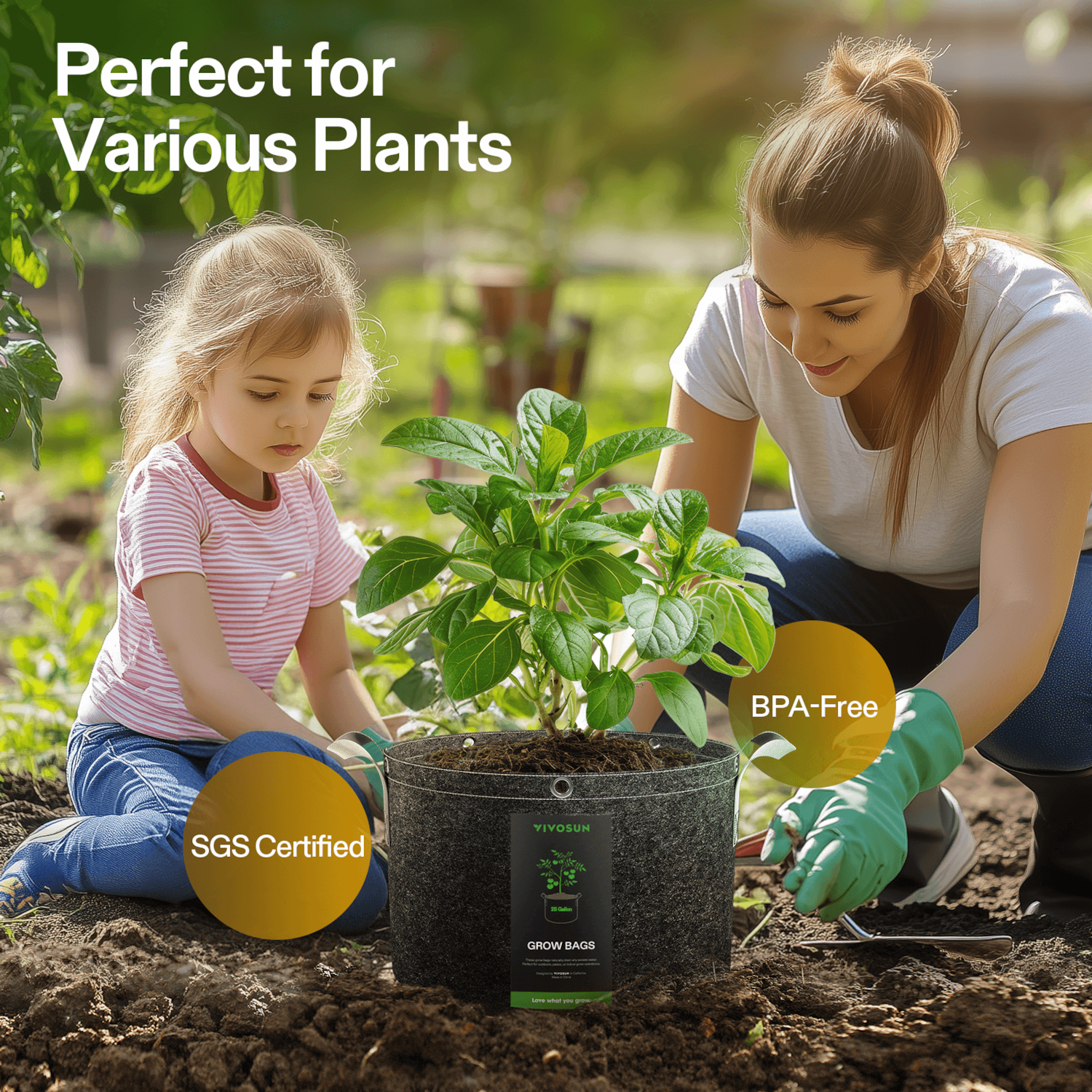 tall plants for outdoor pots Tall Modern Planter Pot, Tapered Cylinder Design