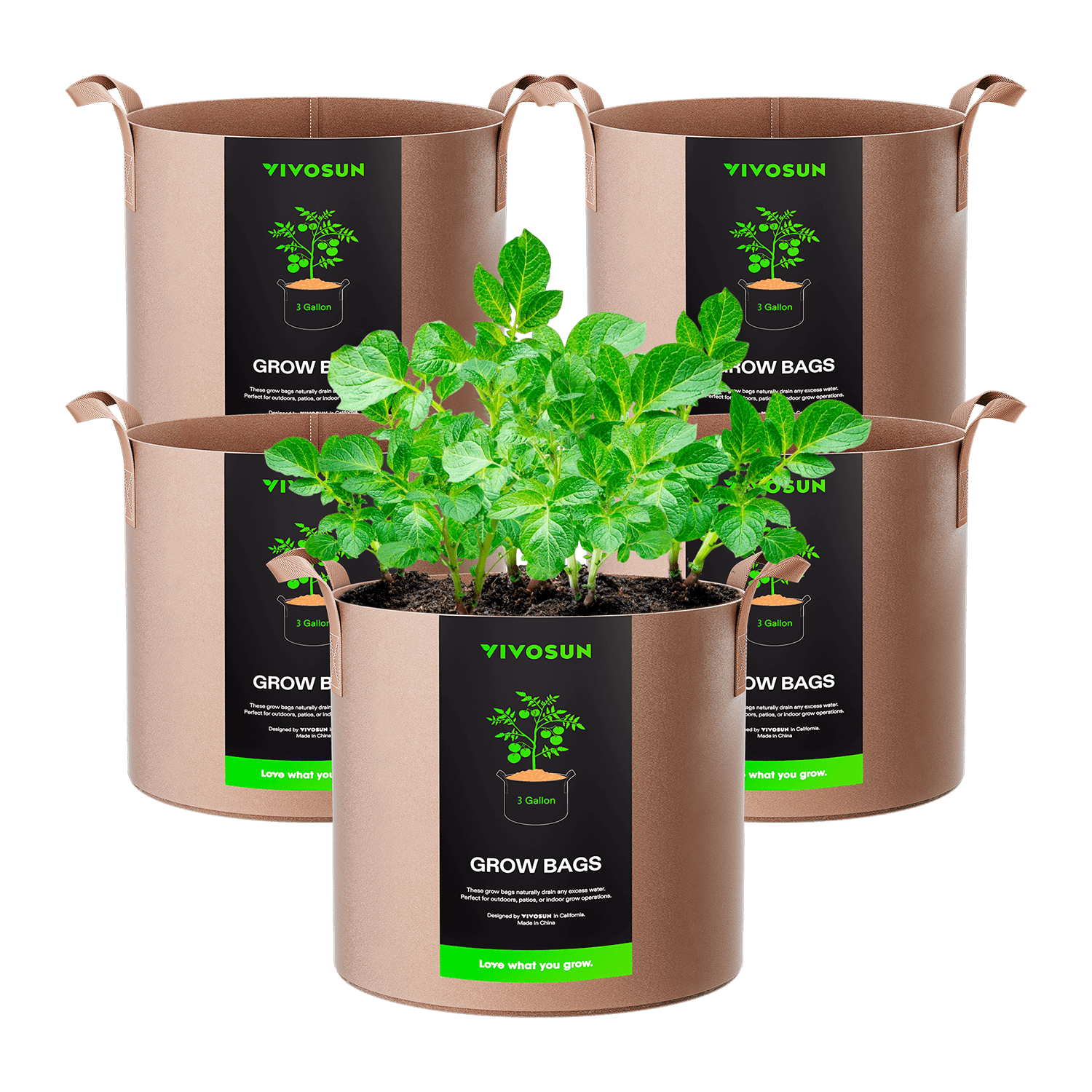 succulent pots amazon Large Succulent Arrangements Decorative Flower Pots  Queen City  Arrangements