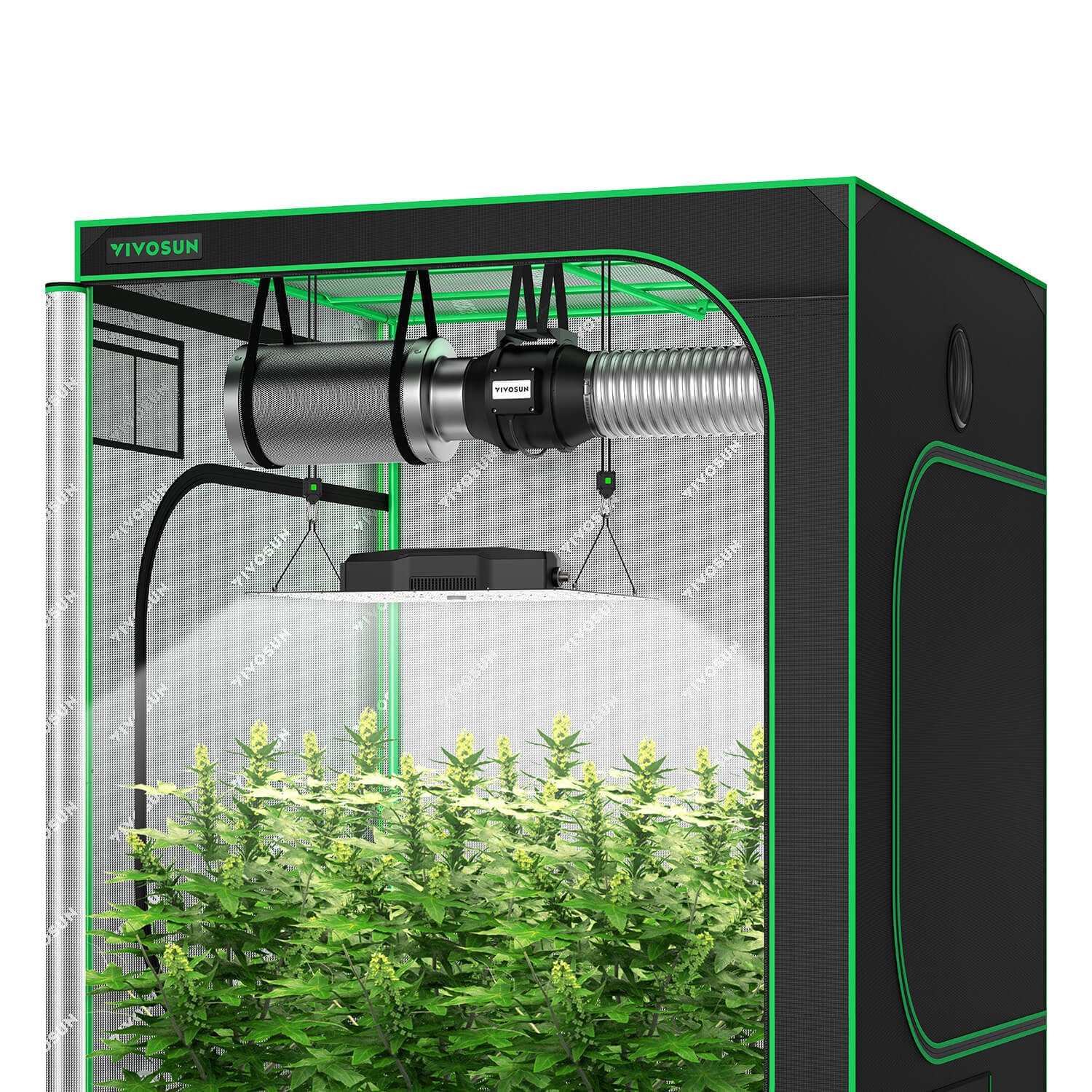 VIVOSUN GIY 5 x 5 ft Basic Grow Kit with VS4000 LED Light, 440CFM ...