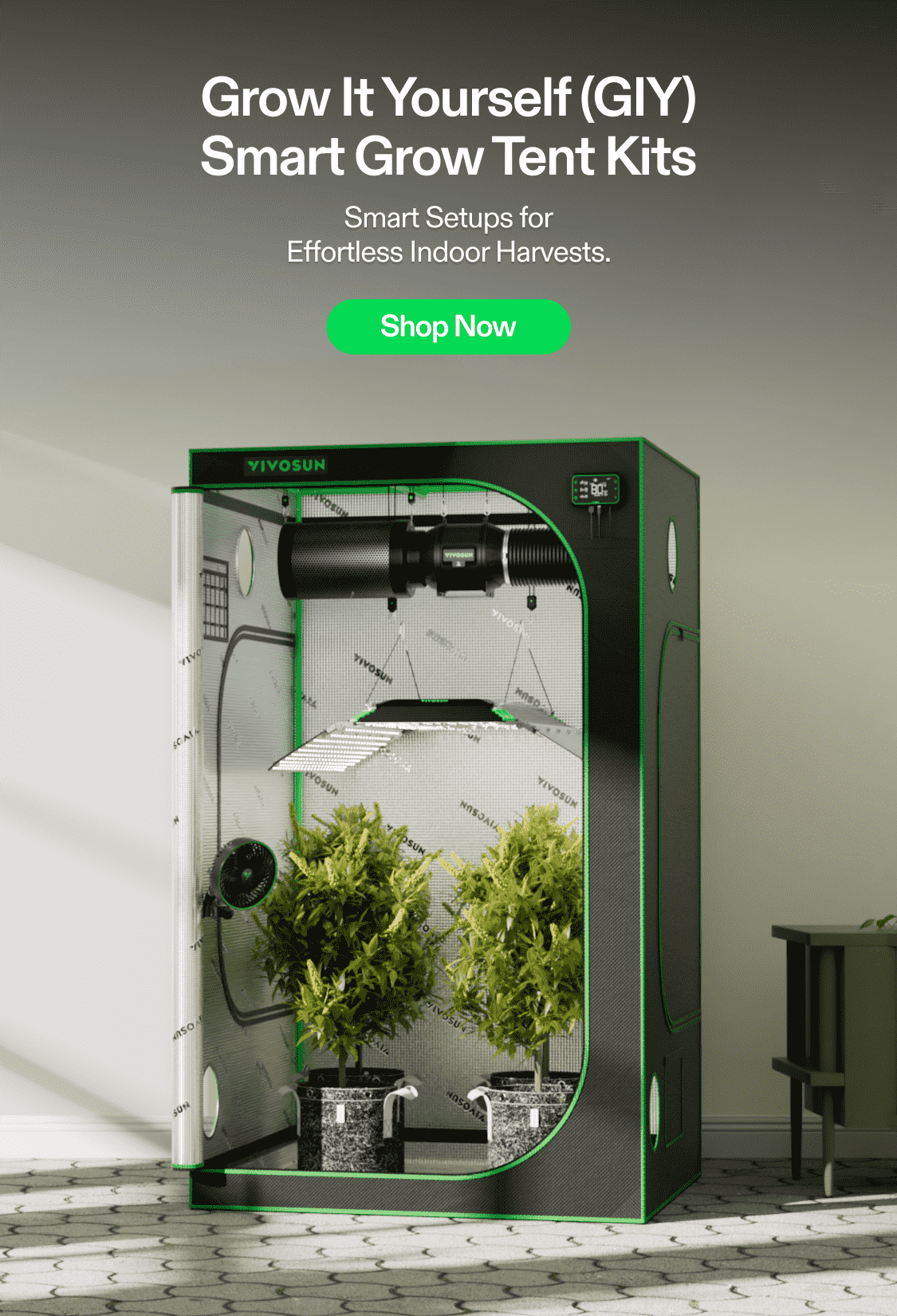 Love Growing Green | Vivosun