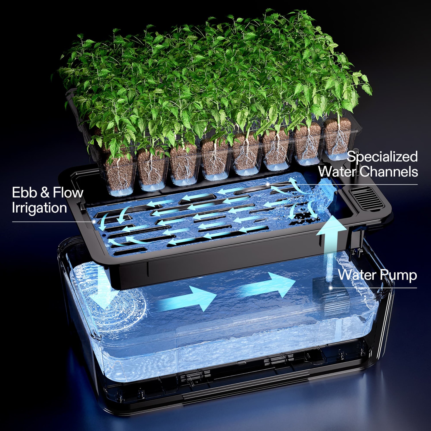 VSeed Smart Seedling Box, All-in-One Seed Starting System with Ebb