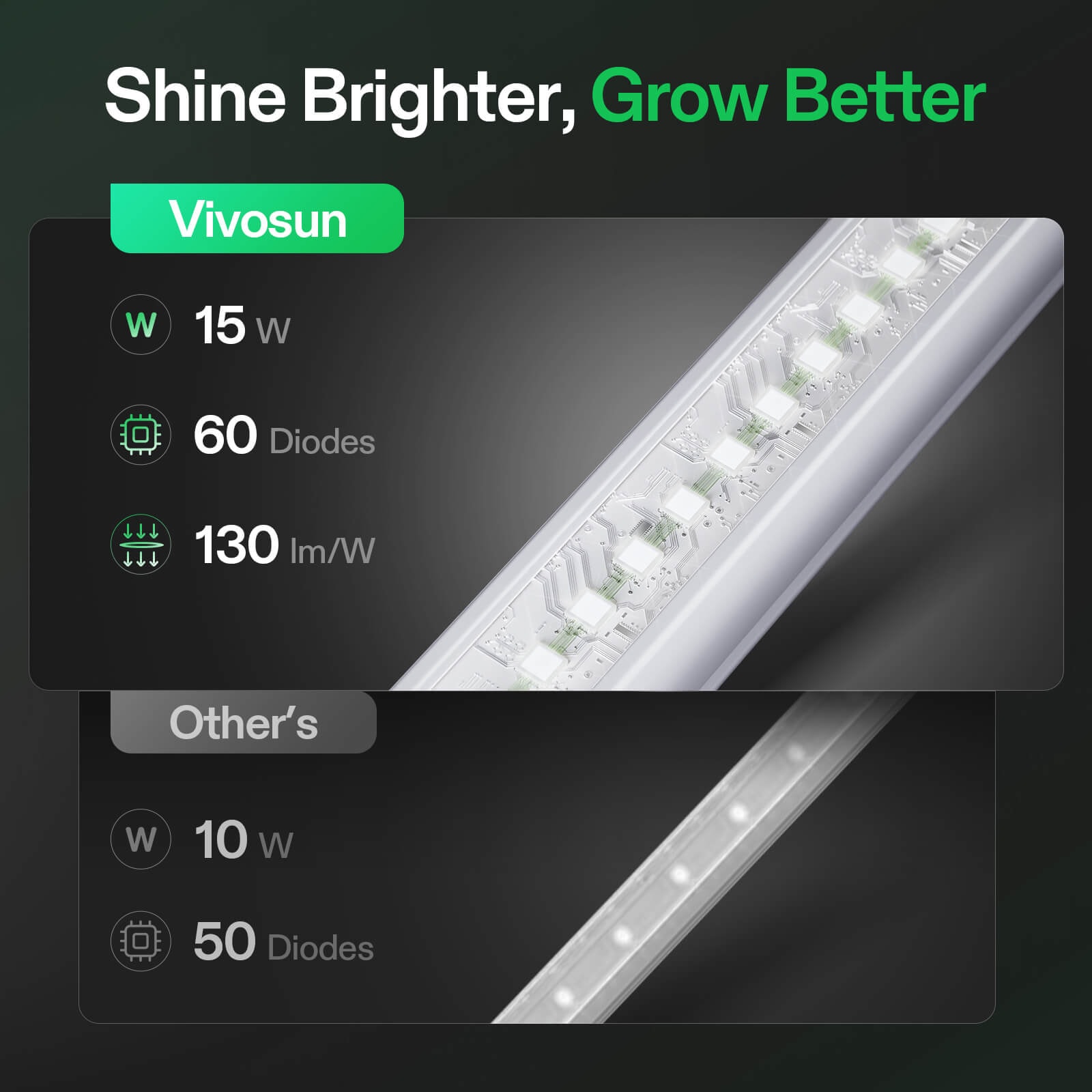 Saatgut-Starter Set Mit 160 Zellen, LED-Lichtern & Heizmatte – Komplettset Für Keimung & Anzucht