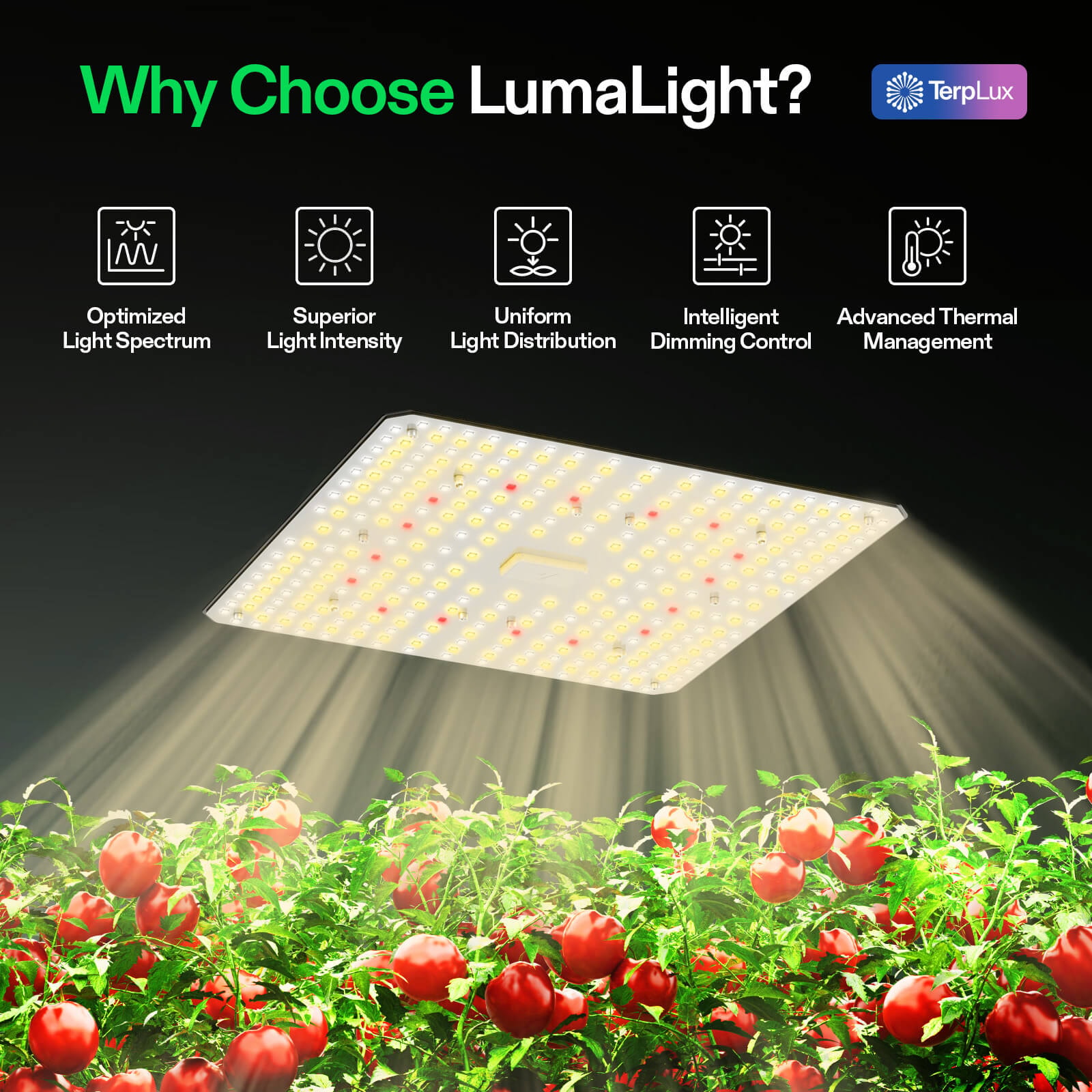 LumaLight 400W LED Grow Light, Full Spectrum Plant Light, Smart