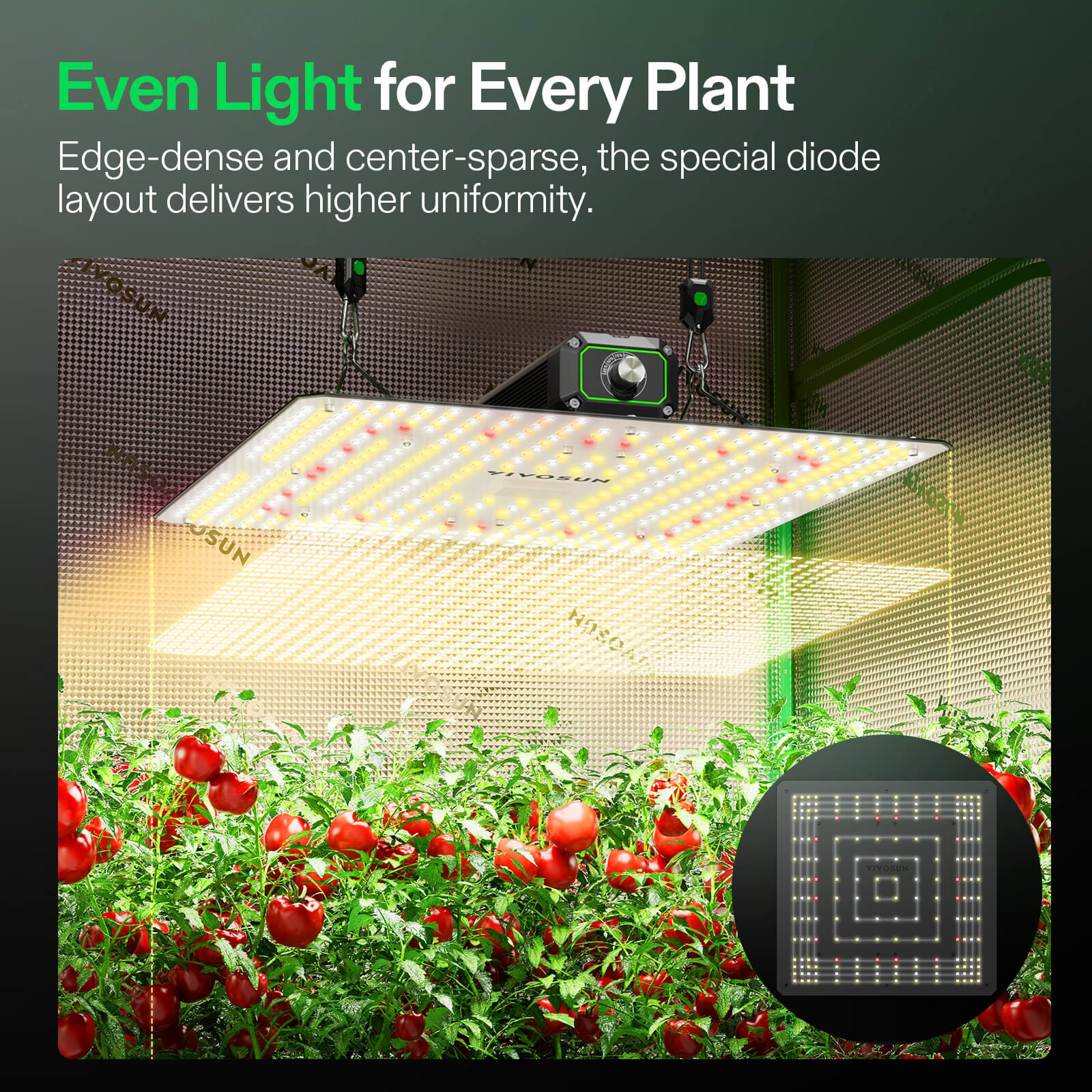 LumaLight 320W LED Grow Light, Full Spectrum Indoor Plant Light