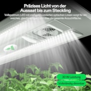 VSeed Smart Anzuchtbox, Indoor Anzucht- & Klon-System mit Ebbe-und-Flut-Bewässerung