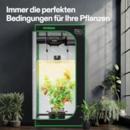 Smart Growbox Komplettset 80×80 cm, 2-Pflanzen System Vollautomatisches Grow-Setup mit WLAN-Steuerung, GrowHub E42A+ Controller, 150W Full-Spectrum LED Pflanzenlampe und 10cm AeroZesh G4 Abluftset