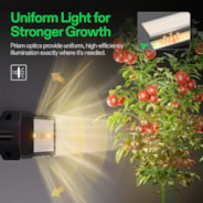 LumaRay Side Lights (4-Bar), Full Spectrum LED Bar Lights, SGS Compatible 