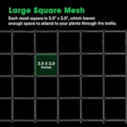 5 x 5Ft. Elastic Trellis Netting with 4 Hooks