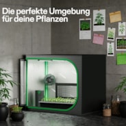 Small Grow Tent for Aerogarden, Hydroponics Growing System, 24" x 16" x 20" Highly Reflective Mylar Indoor Grow Tent with Sturdy Support, Access Window and Removable Floor Tray