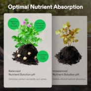 pH Up & pH Down Kit, Liquid Fertilizer for All Plants and All Growing Systems, 1 Quart Each