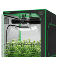 Smart Growbox Komplettset 150 x 150 x 200 cm, Komplettsystem für 6 Pflanzen GIY-SGS-55, mit WiFi E42A+ Controller, 3 x 200W AeroLight Wing SE LED Pflanzenlampe und 15 cm AeroZesh G6 Abluftset