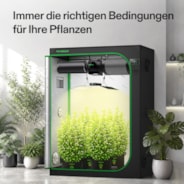 Smart Growbox Komplettset 150 x 80 x 200 cm, Komplettsystem für 3 Pflanzen, mit WiFi E42A+ Controller, 200W AeroLight Wing SE LED Pflanzenlampe und 15 cm AeroZesh G6 Abluftset