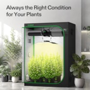 Kit de carpa de cultivo inteligente de 150 x 80 x 200 cm, sistema completo para 3 plantas, con controlador WiFi E42A+, LumaLight 400W LED Grow Light, de 6 pulgadas AeroZesh Combinación de ventilación G6