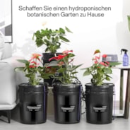 18,9L DWC Hydroponik-System Set (4 Eimer, Schwarz)