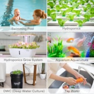 5-in-1 Digital pH Meter with pH/Salinity/TDS/EC/Temperature Function