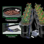 18,9L DWC Hydroponik-System Set (8 Eimer, Schwarz)