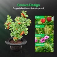 5 Gallon DWC Hydroponic System Kit (1 Bucket, Black)