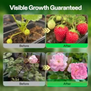 Nutrients Base A & B Bundle, Liquid Fertilizer Supports Vegetative and Flowering Stage, 8oz