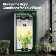 Smart Grow Tent Kit, 2.7 × 2.7ft 2-Plant System, WiFi-Integrated Automatic Grow System with Full Spectrum LED Grow Light, Efficient Ventilation System with GrowHub E42A+ Controller